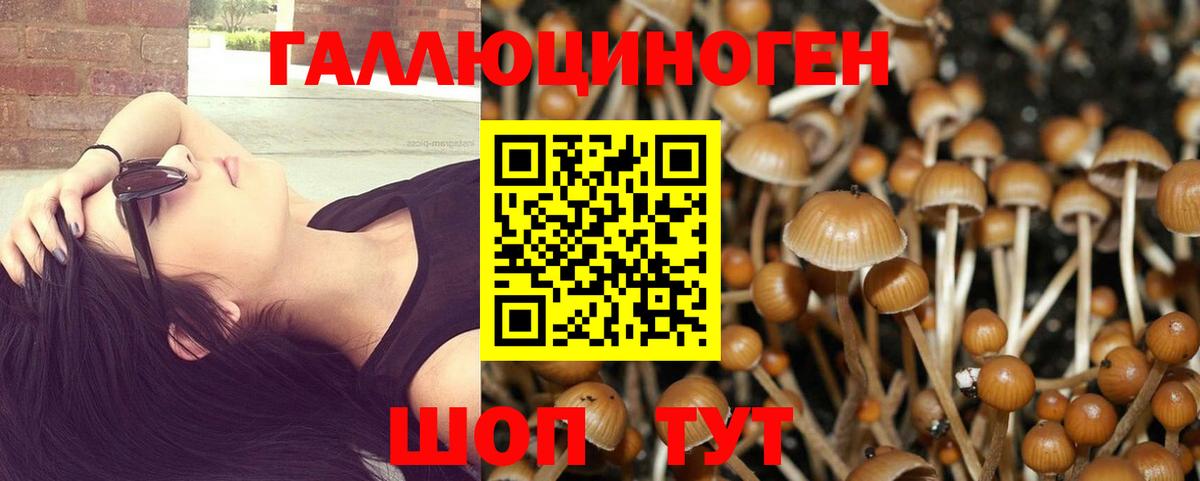 Галлюциногенные грибы GOLDEN TEACHER Советская Гавань