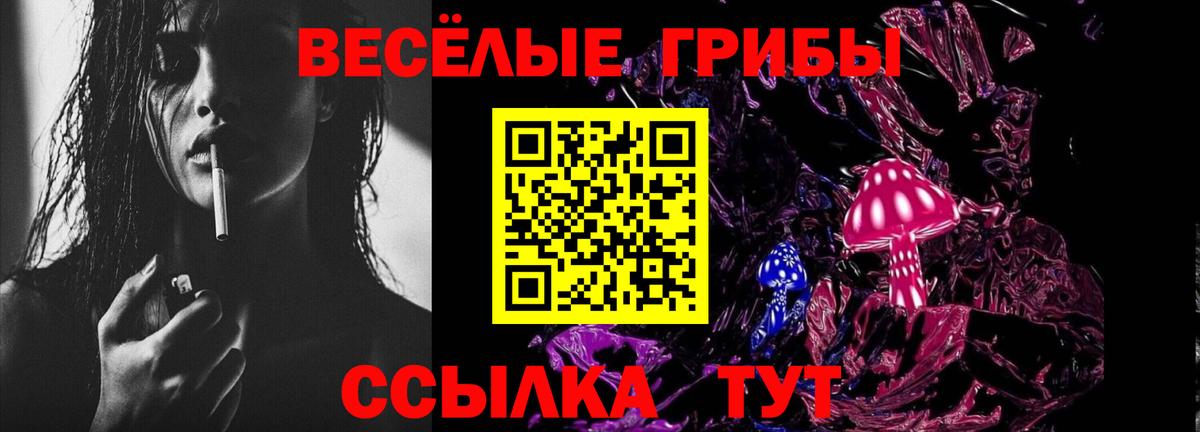 Советская Гавань  Псилоцибиновые грибы мухоморы  Вход с VPN 
